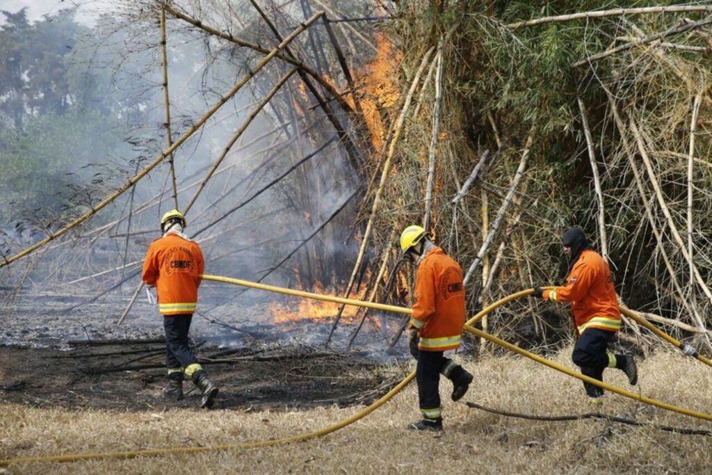 Incêndio atinge parque ecológico em área urbana do Distrito Federal