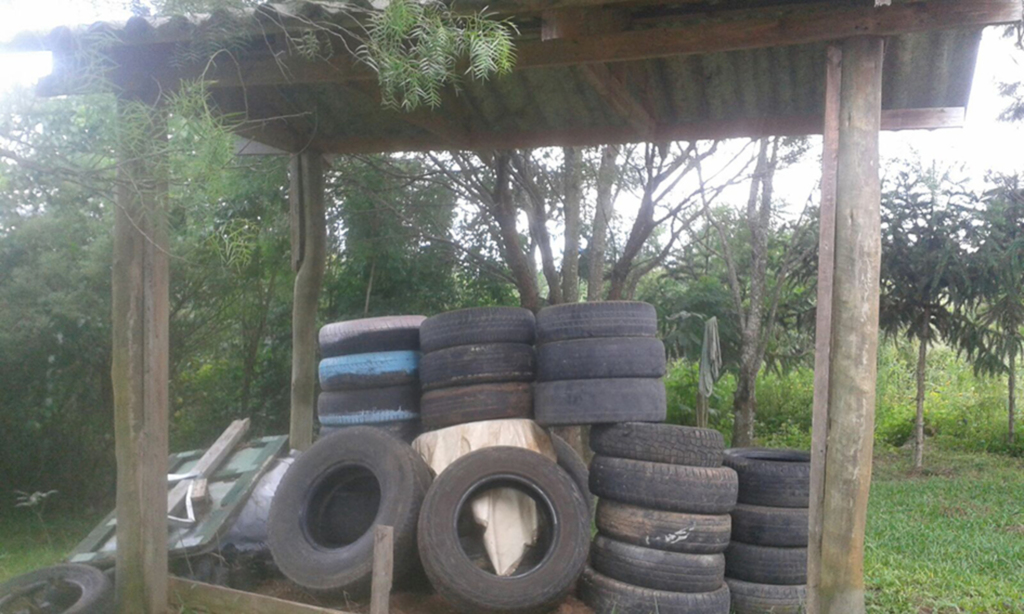 O mosquito Aedes Aegypti será tema de treinamento para alunos do ensino fundamental