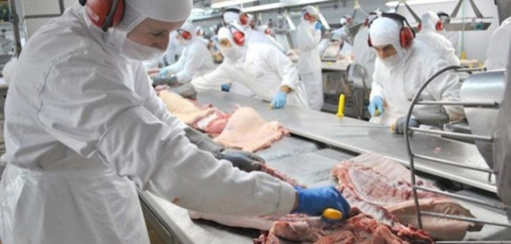  - Carne suína lidera a comercialização externa da unidade local da JBS