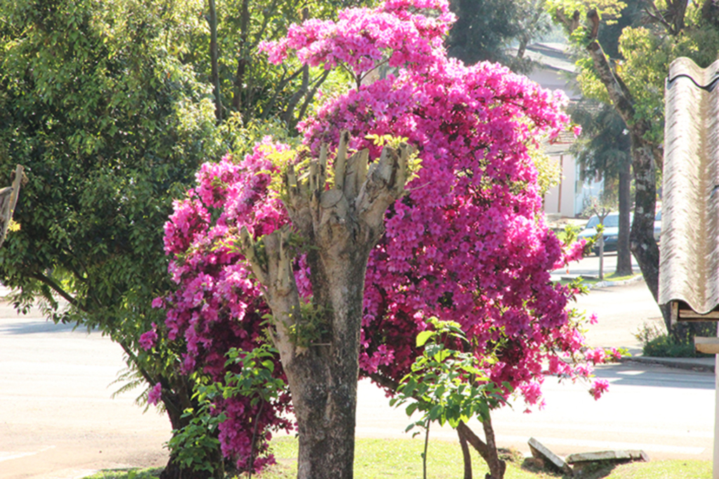 Primavera chega com altas temperaturas