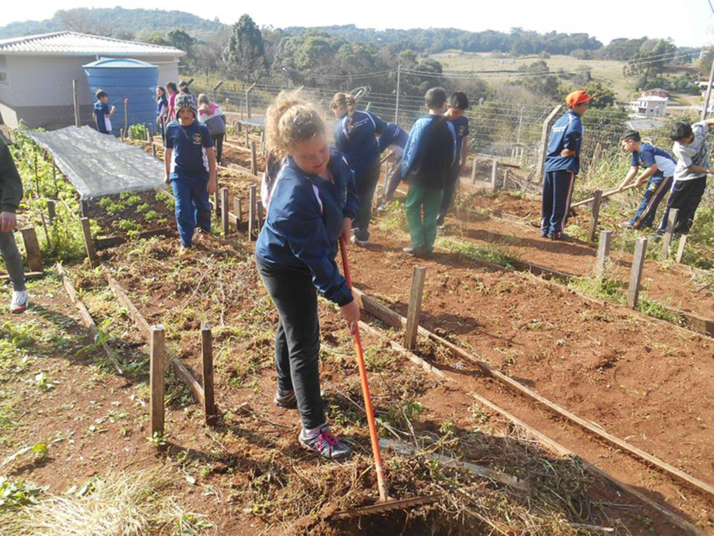 Alunos participam de projeto que visa a elaboração de hortas domésticas