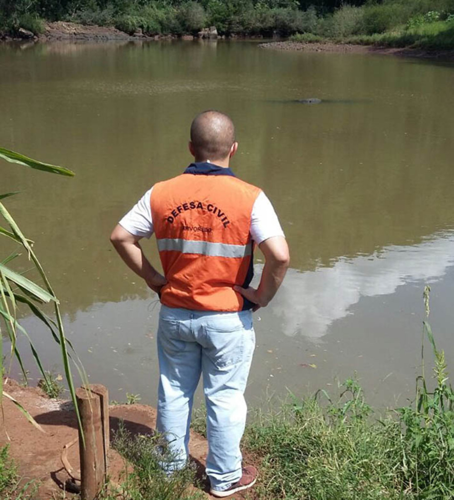  - Coordenador da Defesa Civil Flávio Spagnolo (foto) diz que sistema evitará maiores problemas