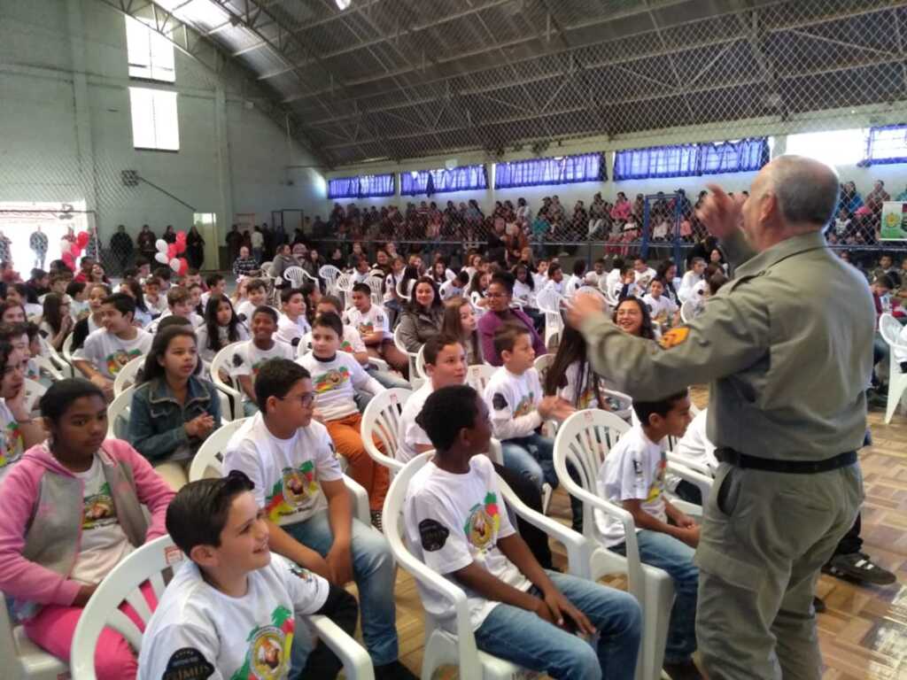 Divulgação - 