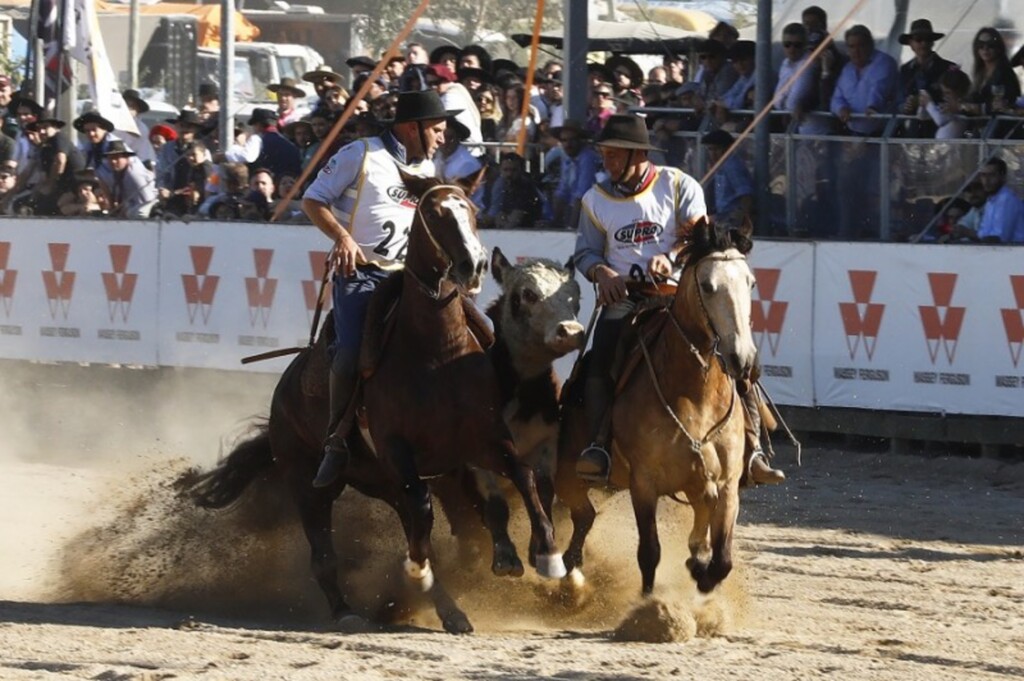 Expointer anuncia os vencedores do Freio de Ouro
