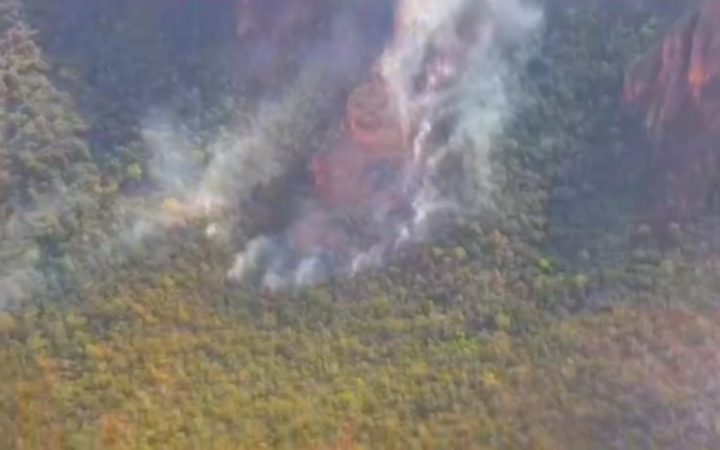 Quatro estados pedem ajuda das Forças Armadas para combate a incêndios