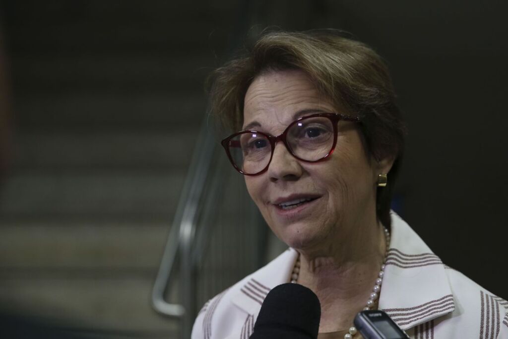 Divulgação - 