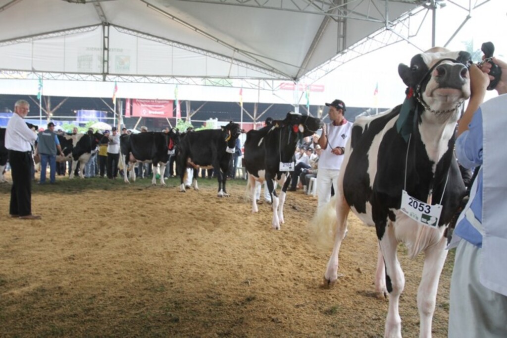 42ª Expointer será lançada na segunda-feira