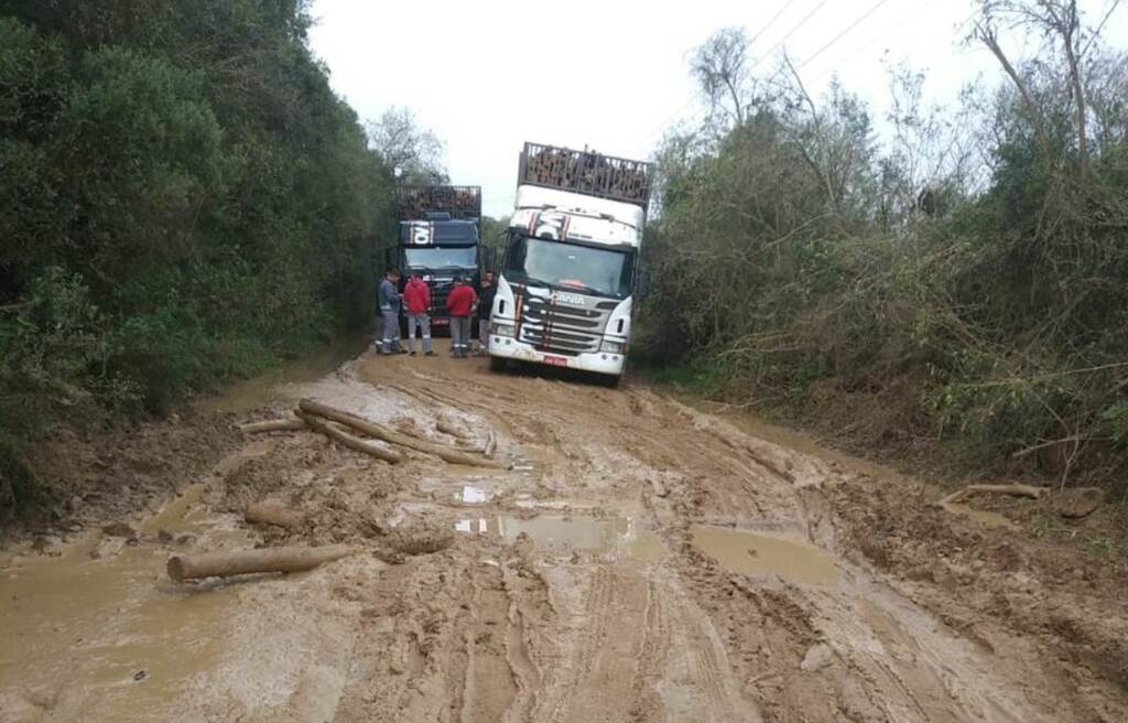Divulgação - 