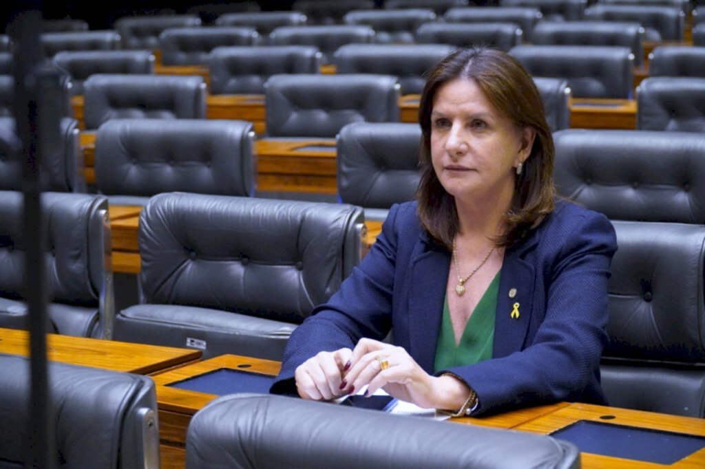 Gabinete Carmen Zanotto - Deputada federal Carmen Zanotto