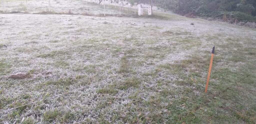 Meteorologia prevê temperaturas negativas e geadas na próxima semana
