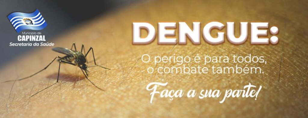 Imprensa Prefeitura de Capinzal - Aedes aegypti, mosquito transmissor de doenças como Dengue, Zika e Chikungunya