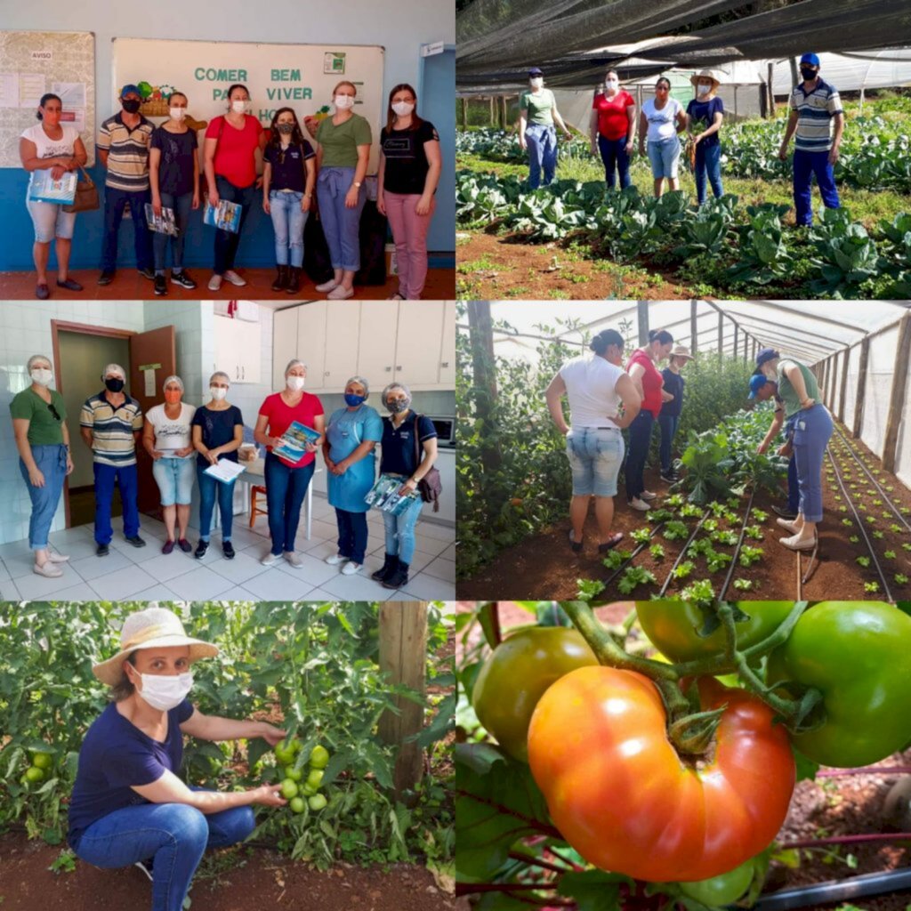 Conselho de Alimentação Escolar (CAE) visitou a visita técnica a unidades escolares e da agricultura familiar que fornece alimentos para a Alimentação Escolar