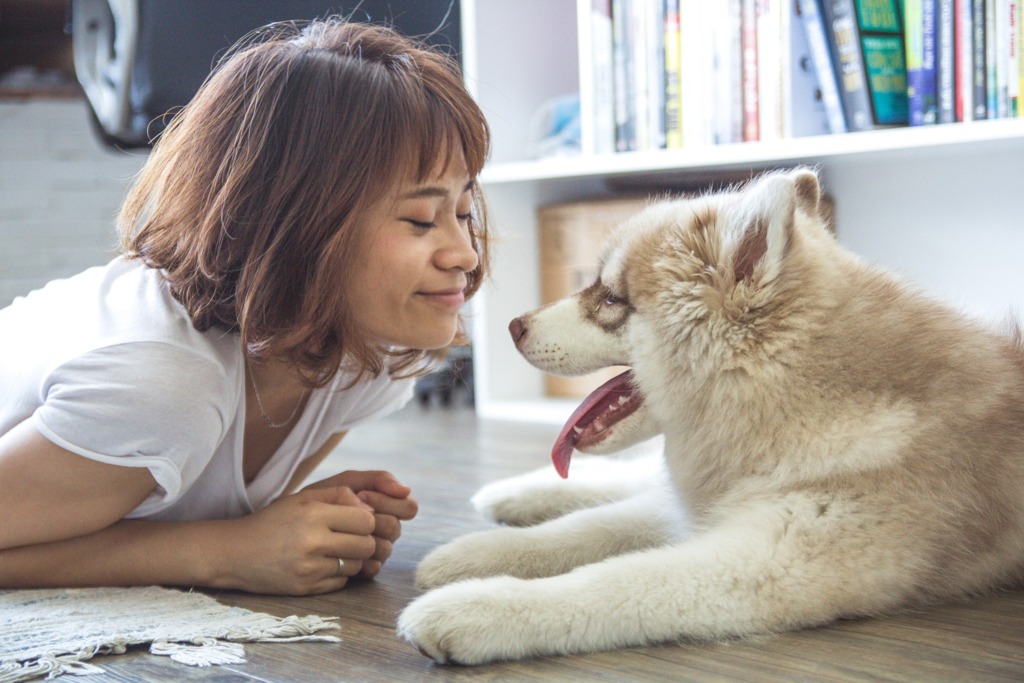Cachorro é  considerado  filho, aponta pesquisa