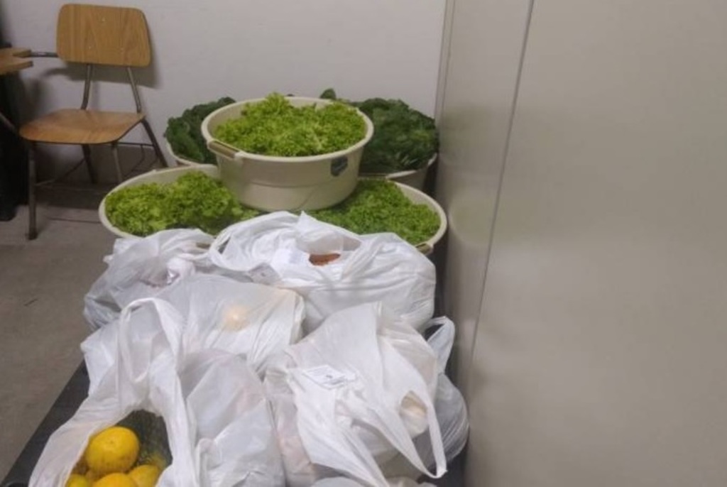 Famílias em situação de vulnerabilidade recebem hortifruti em Pelotas