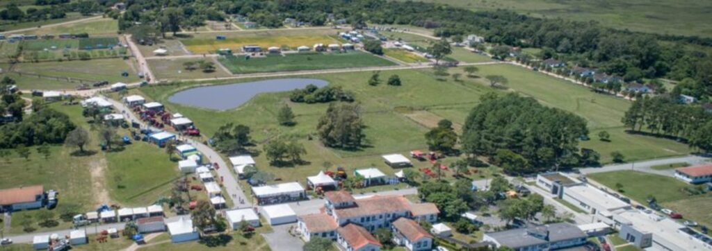 Abertura oficial da colheita do arroz tem data e local definido