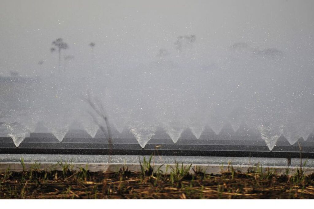 Bolsonaro diz que Polos de Agricultura Irrigada vão gerar emprego