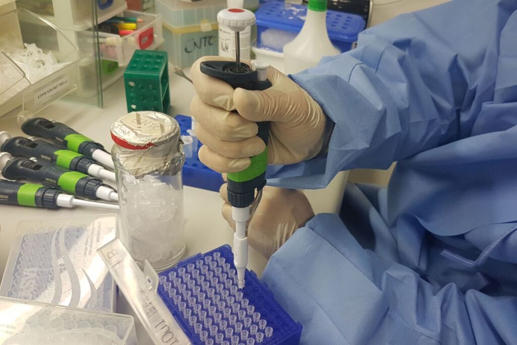 Fiocruz desenvolve teste para Zica mais barato e rápido
