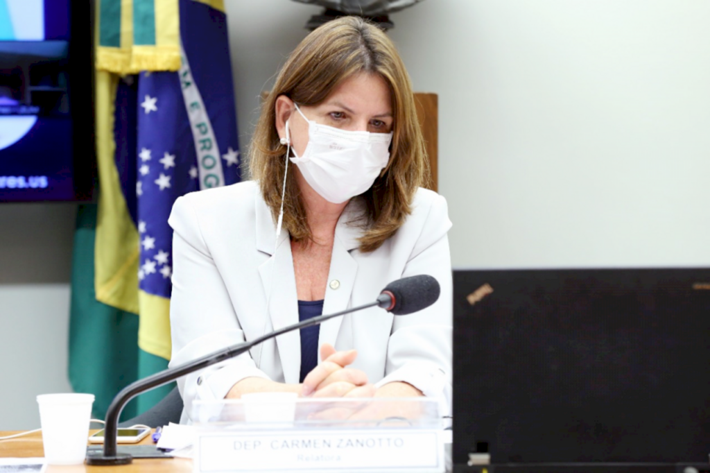  - Deputada federal catarinense Carmen Zanotto (Cidadania/SC)