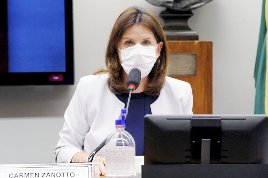 Foto: Pablo Valadares/ Câmara dos Deputados - Deputada Carmen Zanotto (Cidadania-SC).