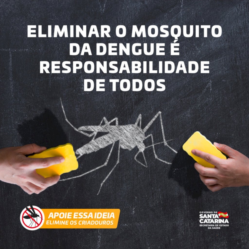 Assessoria de Imprensa / Prefeitura de Joaçaba - Saiba mais sobre o Aedes Aegypti: