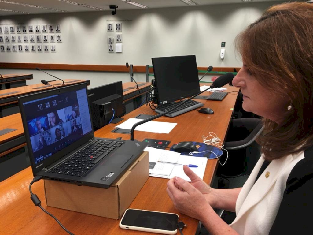 Foto: Assessoria Carmen Zanotto - Deputada Carmen Zanotto (Cidadania-SC).