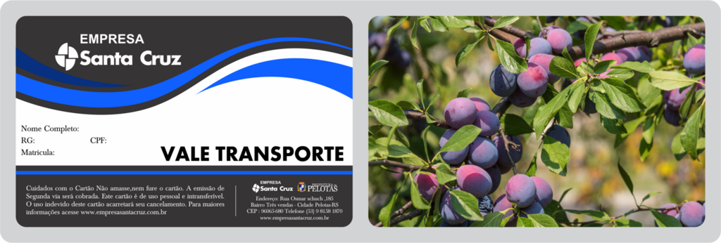 Confecção dos cartões do transporte rural começa na terça-feira