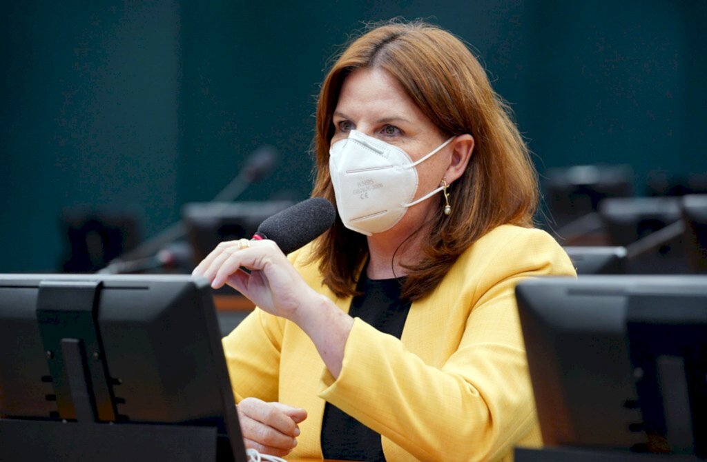 Foto: Will Shutter/ Câmara dos Deputados - Deputada Carmen Zanotto (Cidadania-SC).