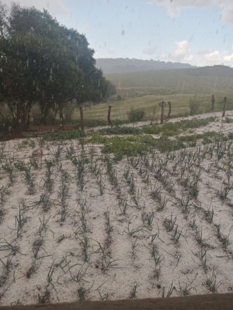 Temporal com granizo assusta moradores e deixa chão coberto de gelo em Pinhal da Serra e Esmeralda