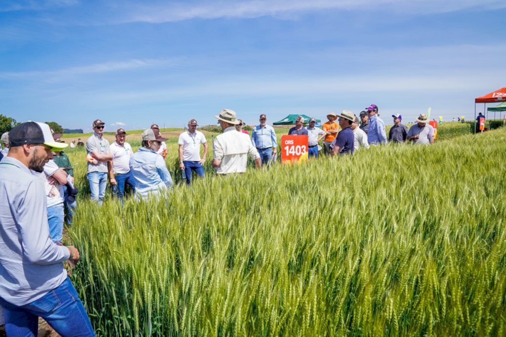 Dia de Campo de Culturas de Inverno Copercampos reúne técnicos, associados e estudantes