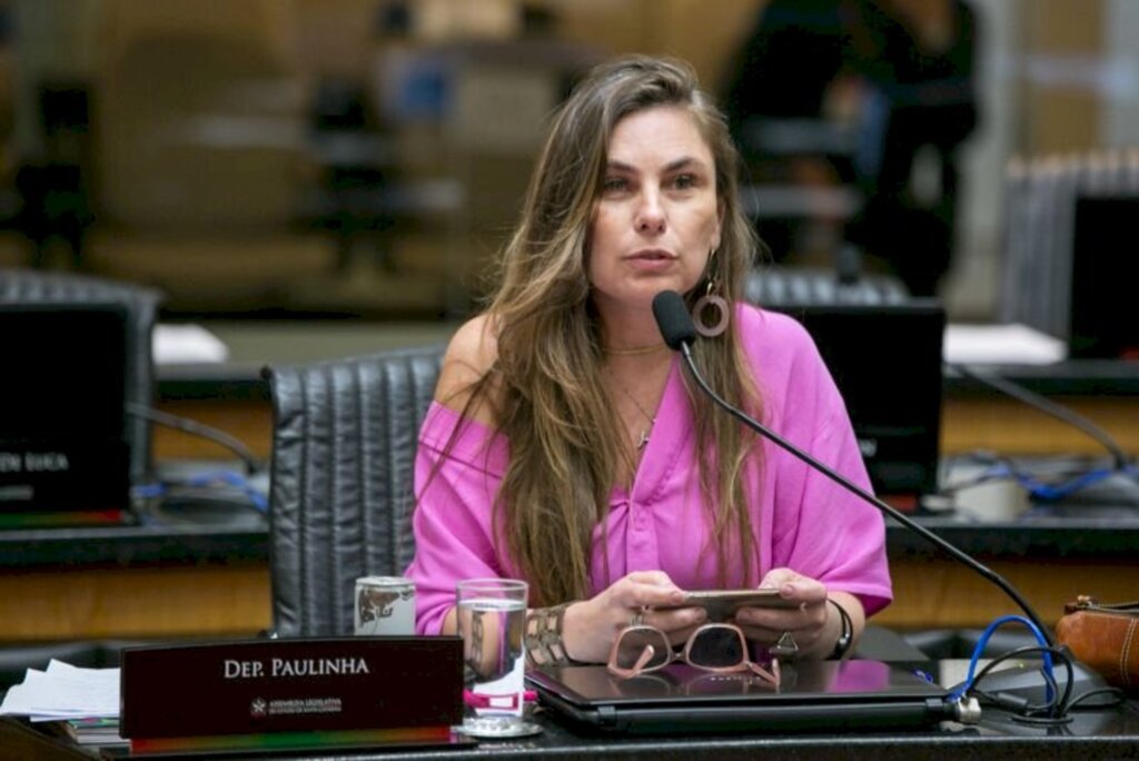 Paulinha solicita a revitalização da SC 114 trecho de Itaiópolis