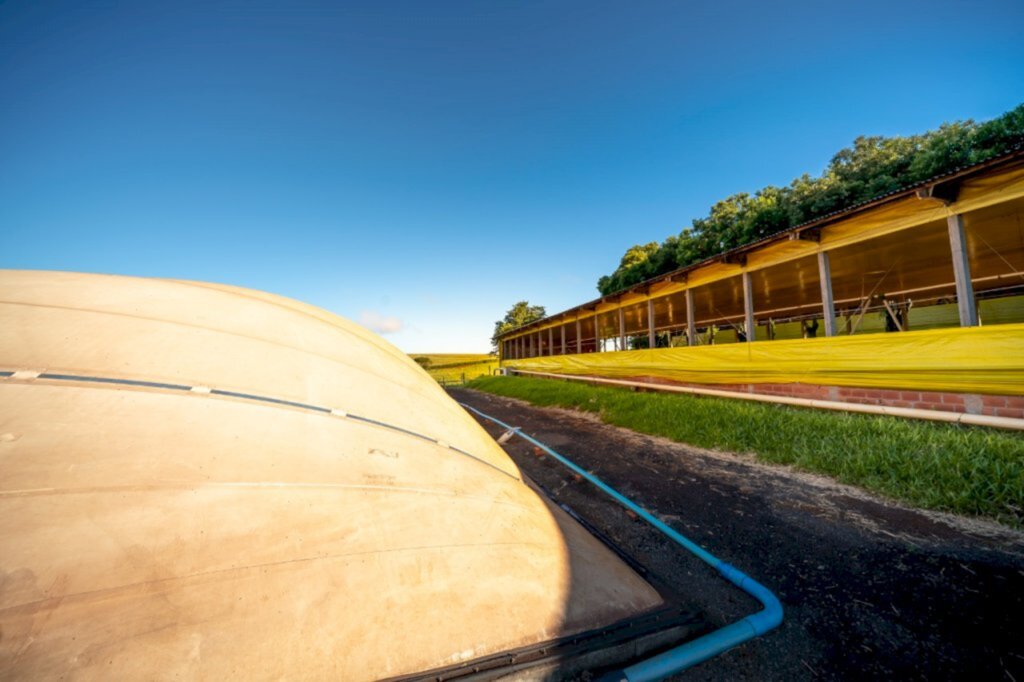 Fórum online debate potencial da produção, aponta soluções e proporciona negócios para o biogás e biometano