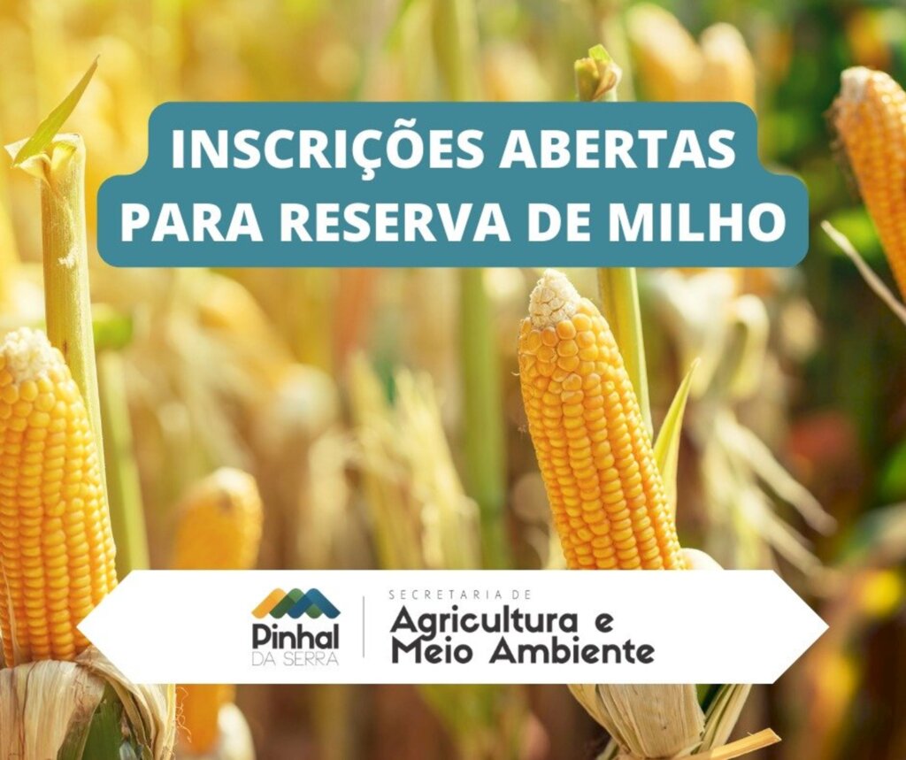 Reserva de sementes de milho já está acontecendo em Pinhal da Serra