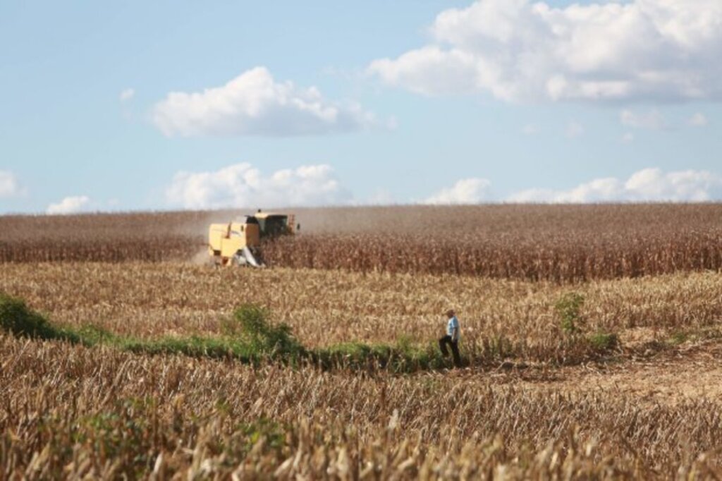 Agricultura inicia distribuição de calcário para aumentar a produtividade das lavouras