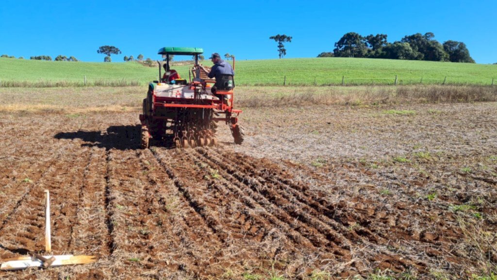 Copercampos implanta campos para avaliações de trigo na região