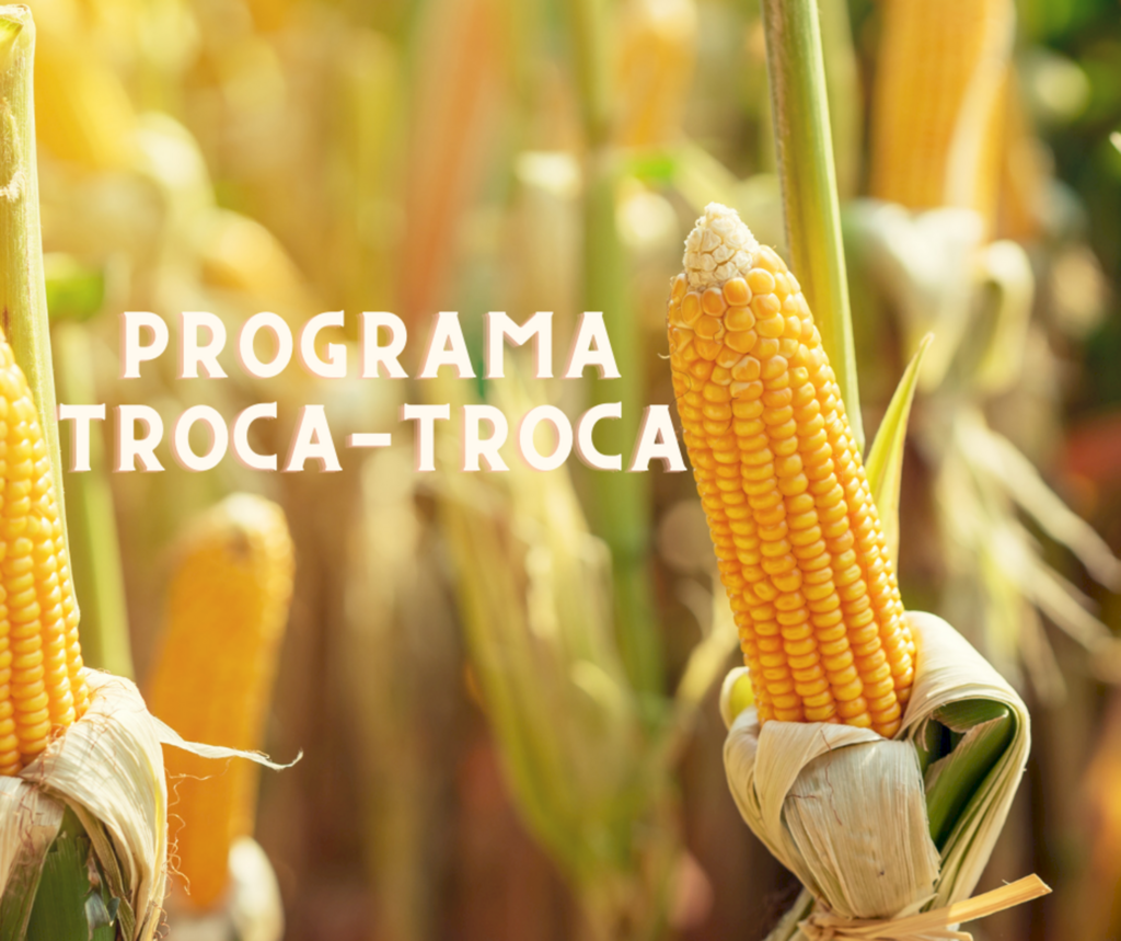 Estiagem: Produtores não precisarão pagar sementes do Programa Troca-Troca