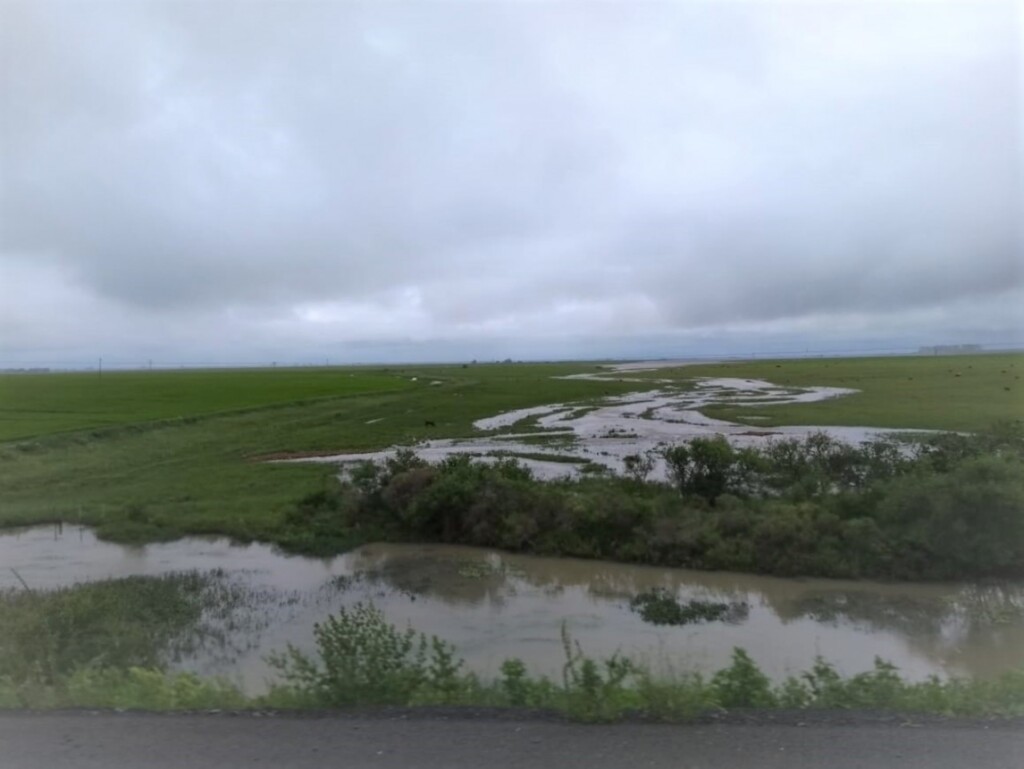 Próxima semana tem alerta de chuva forte e temporais no RS