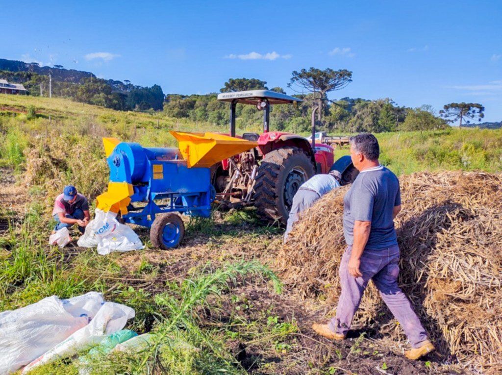 Prefeitura de Campo Belo do Sul auxilia pequenos agricultores  na colheita de feijão