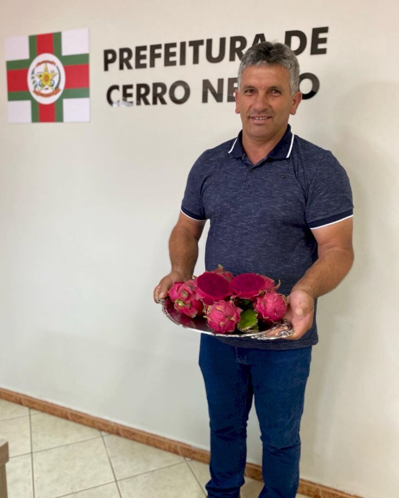 Pitayas que vão muito além do sabor e da beleza são produzidas no interior do município de Cerro Negro