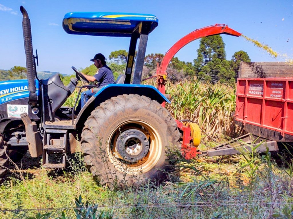 Prefeitura auxilia na produção de silagem em pequenas propriedades de Campo Belo do Sul