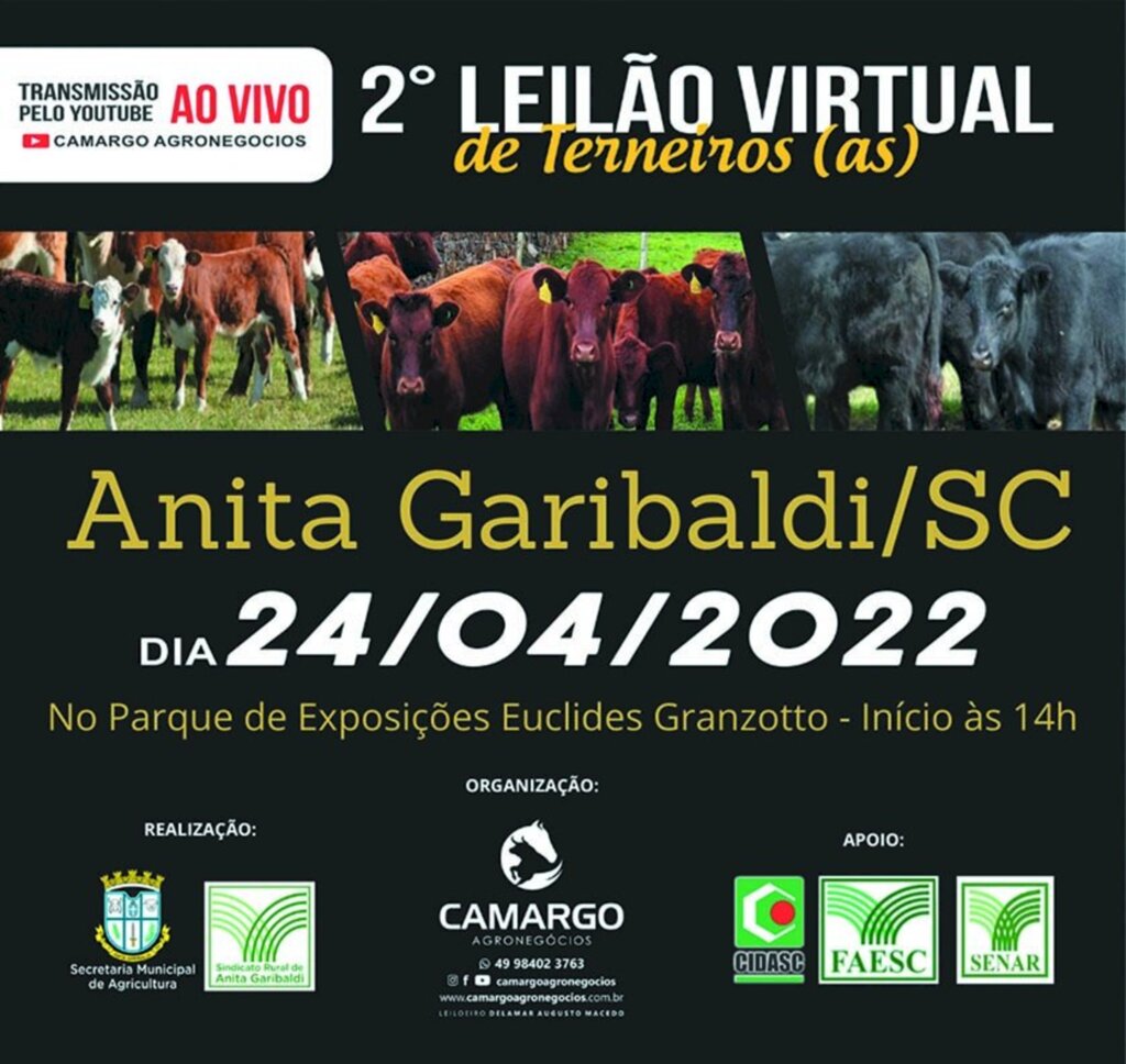 Leilão Virtual de Terneiros e Terneiras será no dia 24/04 em Anita Garibaldi