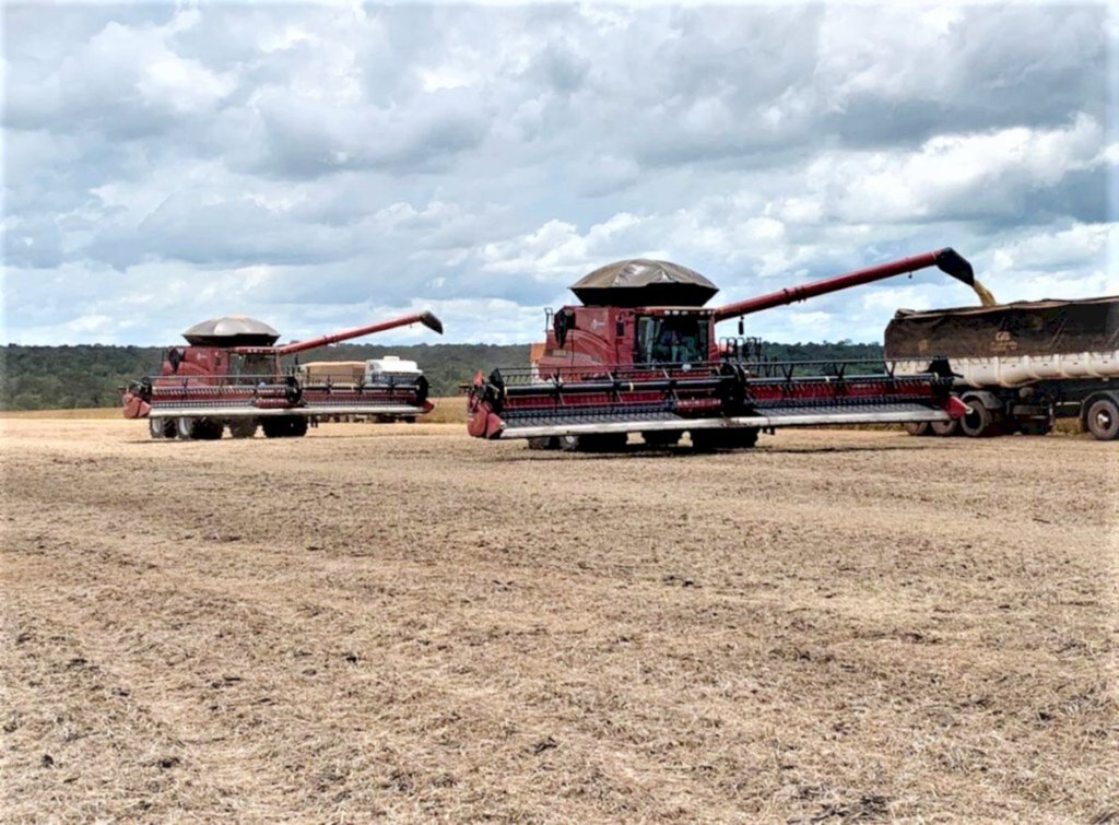 Agrocam iniciou colheita de soja no Mato Grosso