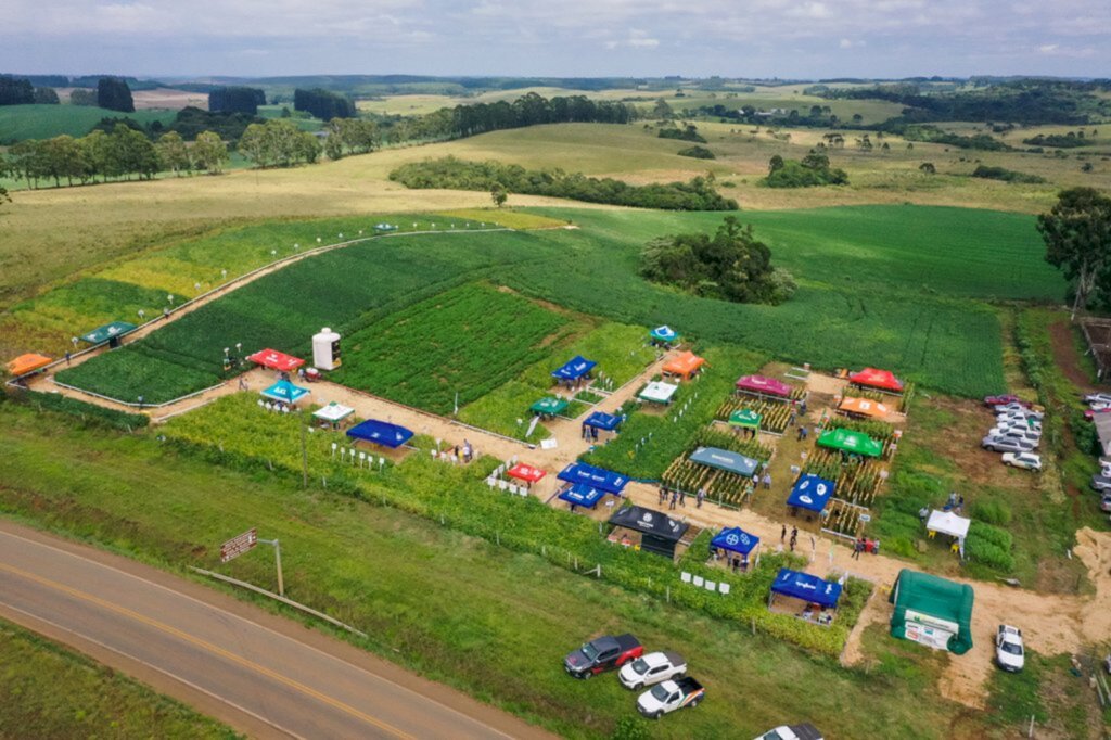 Copercampos realiza Manhã de Campo em Campo Belo do Sul