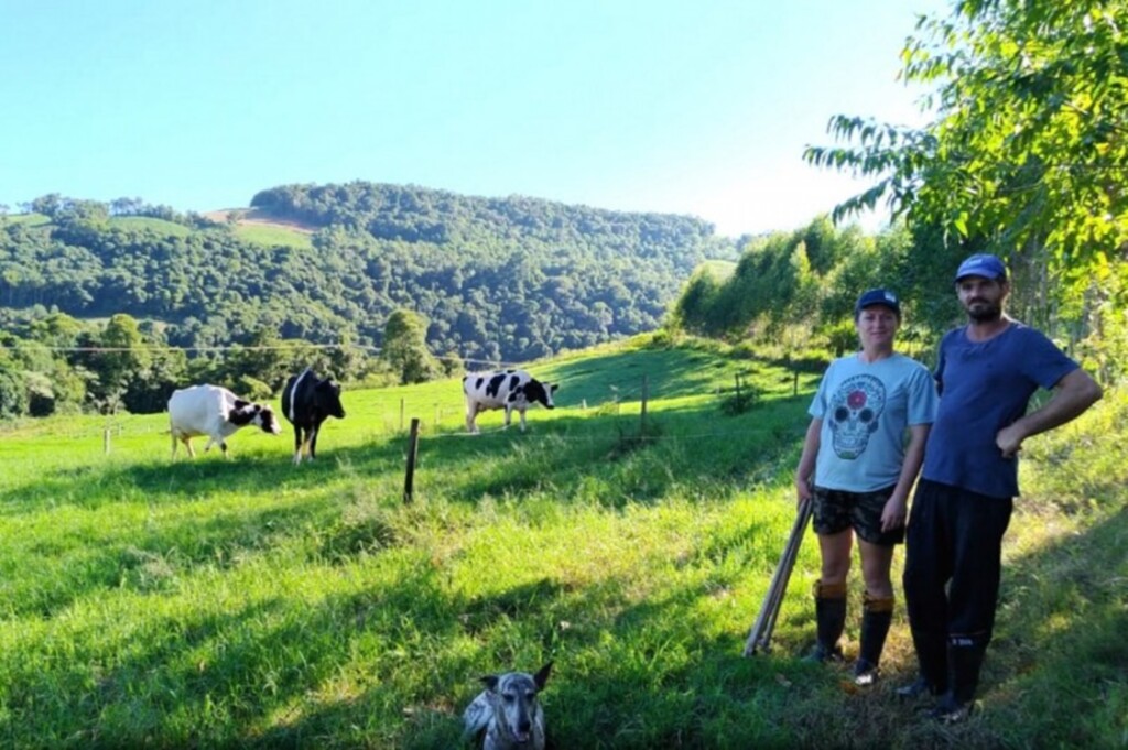 Programa eleva produtividade do leite em propriedades familiares