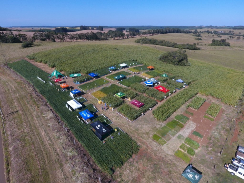 Copercampos promove Manhã de Campo  em Campo Belo do Sul