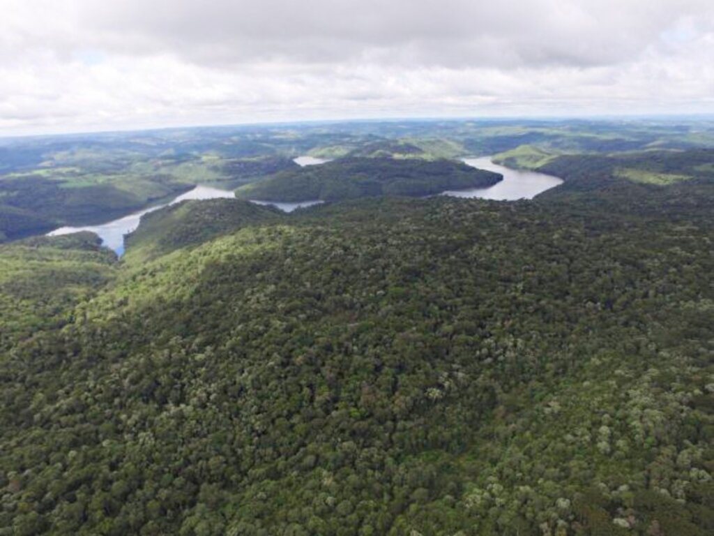 Foto: Divulgação /  Comitê Urussanga - A chamada pública, lançada pela Fundação de Amparo à Pesquisa e Inovação do Estado de Santa Catarina (Fapesc), tem até 11 de janeiro de 2021 para a submissão das candidaturas.