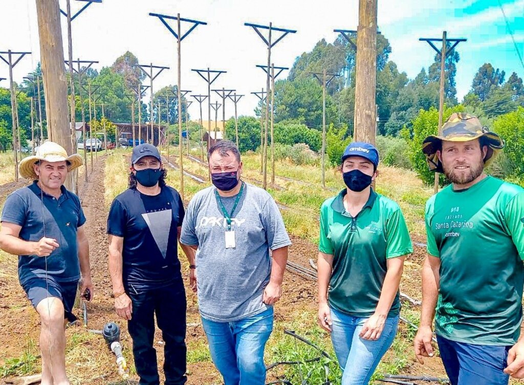 Parceria entre Prefeitura de Campo Belo do Sul e Epagri apoia o plantio de lúpulo no município