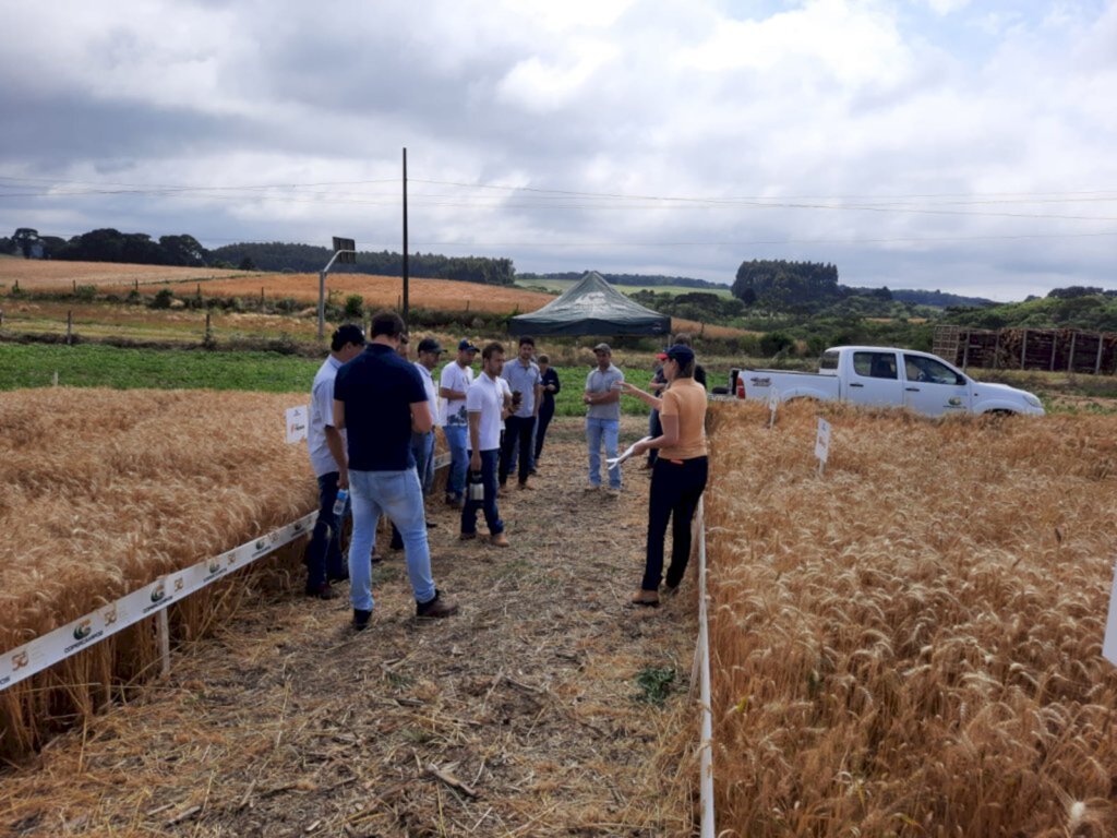 Copercampos promove Manhã de Campo em Campo Belo do Sul/SC