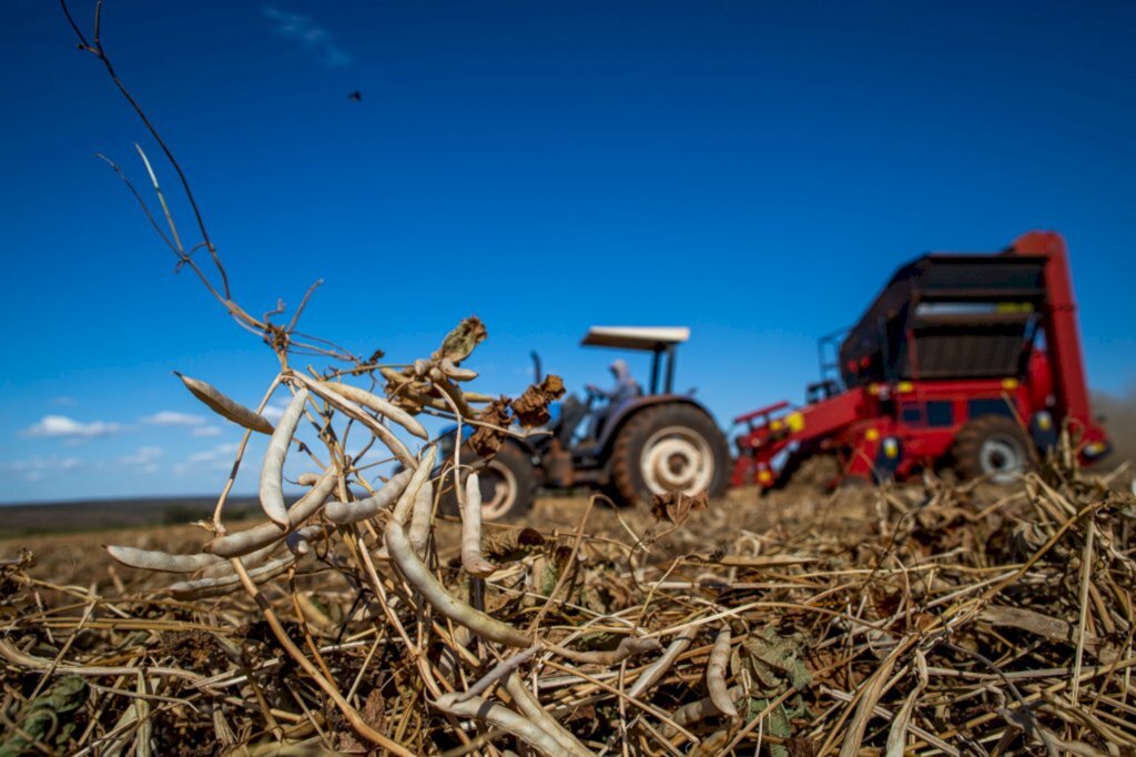 Graduação a distância em agronegócio tem vagas abertas em SC