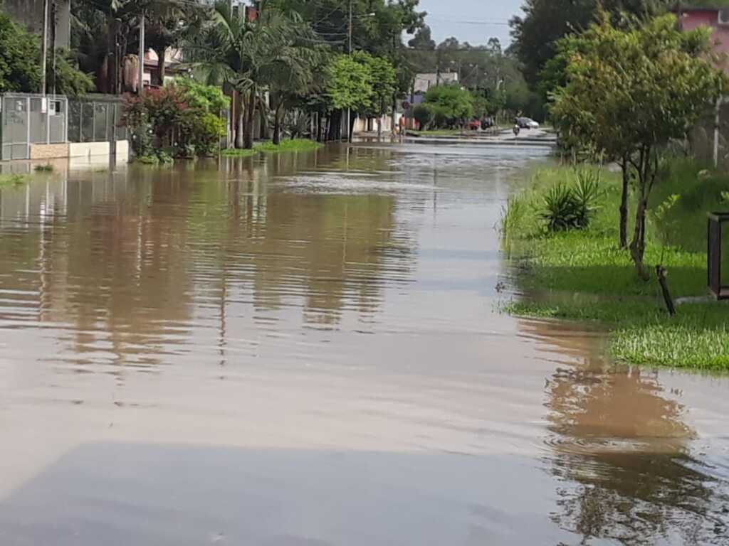 Divulgação - 