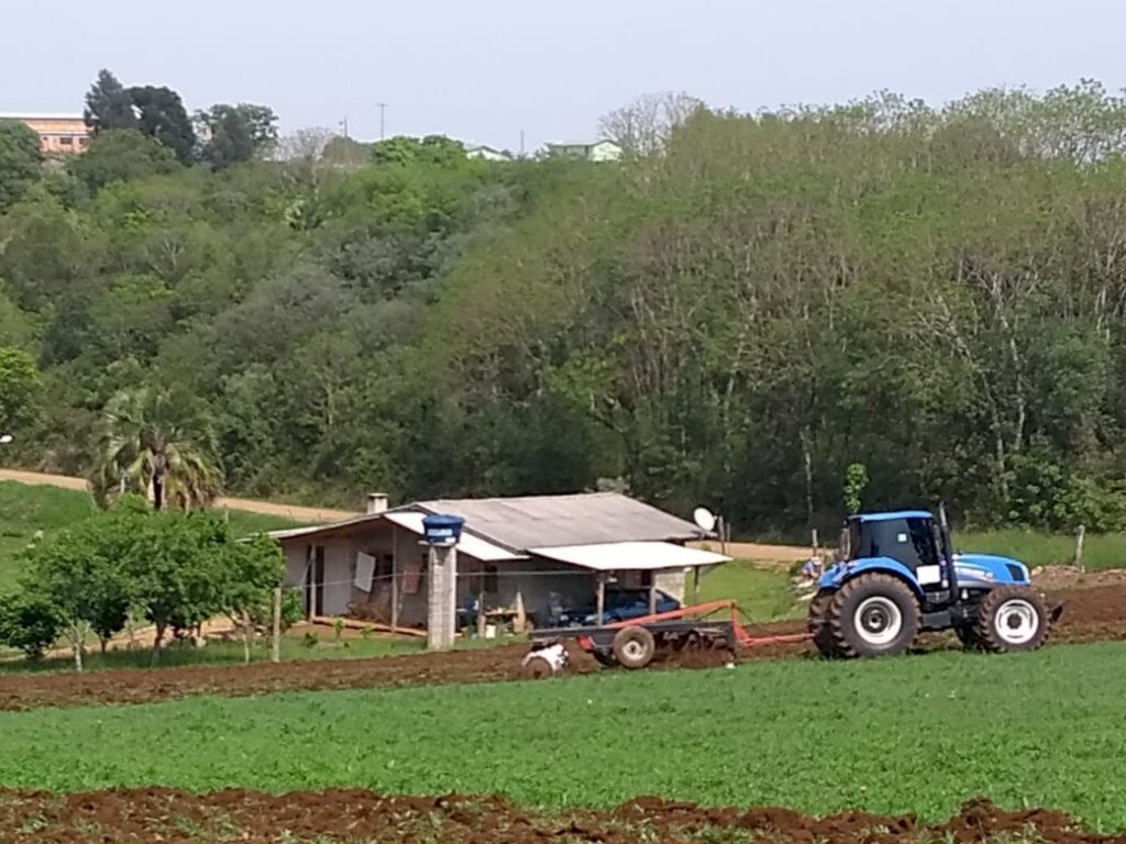 Secretaria de Agricultura e Meio Ambiente inicia plantio de verão em Pinhal da Serra